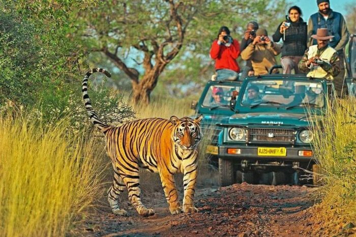 The Heart of India 14 days